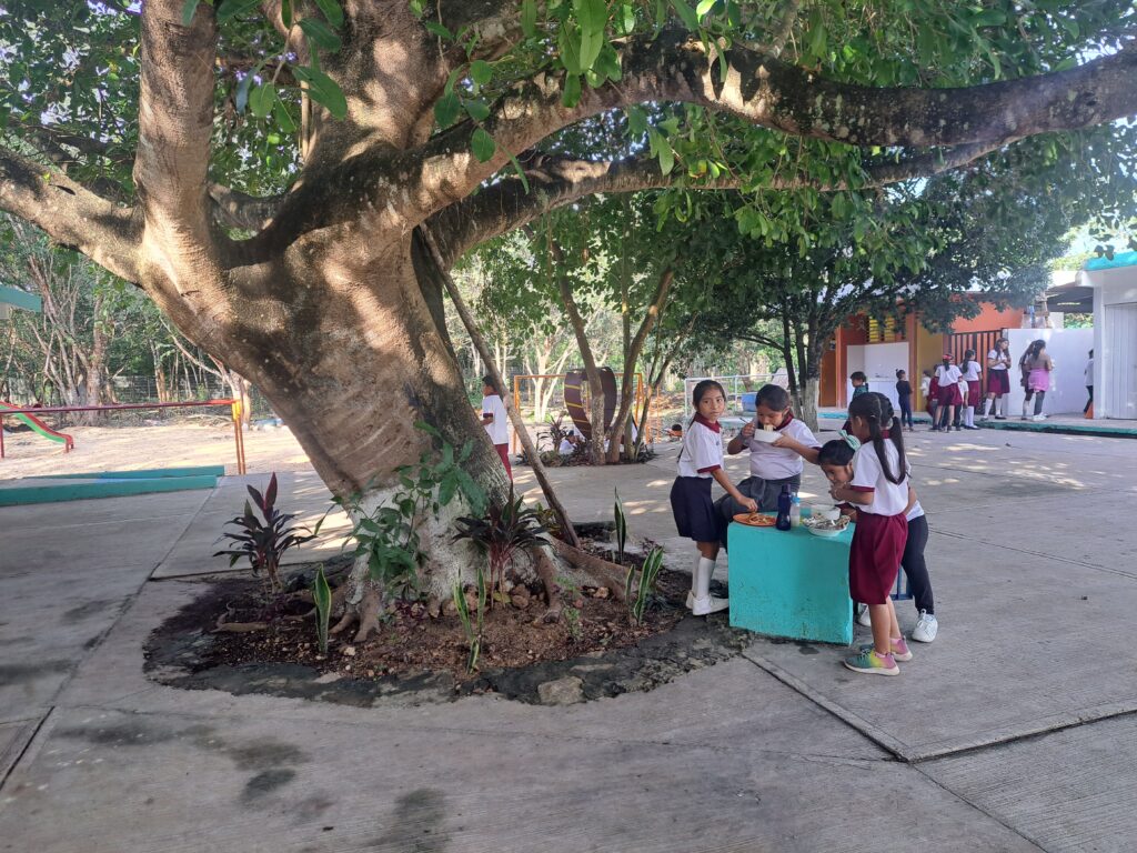 Escuela Primaria José Mariano Abasolo_Cancun_Quintana Roo_El Porvenir